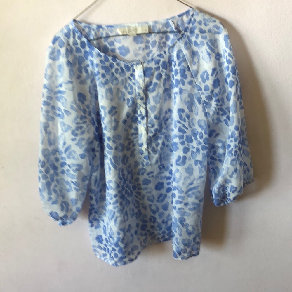 Shear blouse